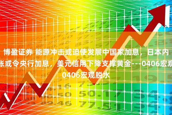 博盈证券 能源冲击或迫使发展中国家加息，日本内生通胀或令央行加息，美元信用下降支撑黄金---0406宏观脱水