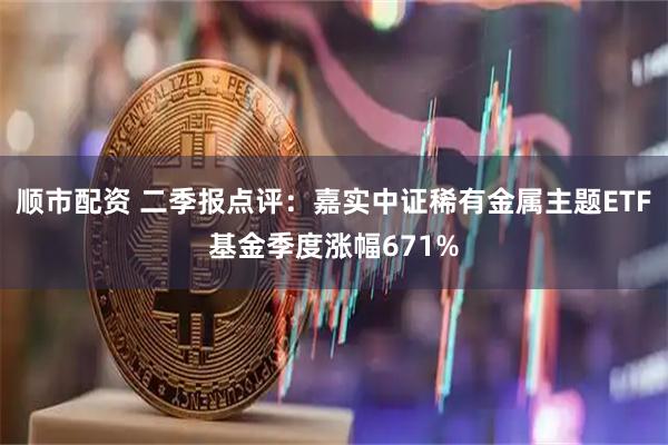 顺市配资 二季报点评：嘉实中证稀有金属主题ETF基金季度涨幅671%